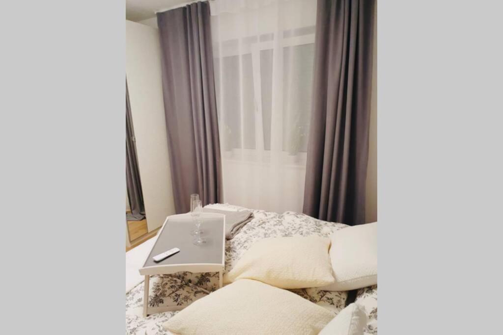 Leon Apartment Neu! Gemuetlichkeit An Erster Stelle ลินซ์ ภายนอก รูปภาพ
