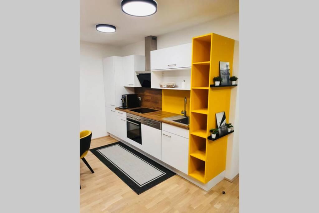 Leon Apartment Neu! Gemuetlichkeit An Erster Stelle ลินซ์ ภายนอก รูปภาพ